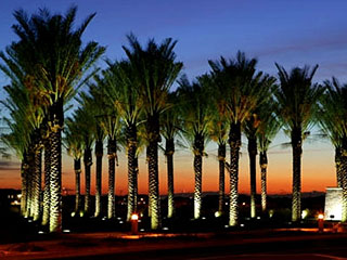 Landscape Lighting, Newbury Park, CA